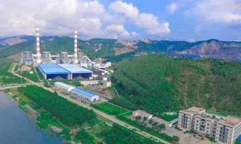 Nhiệt điện Quảng Ninh sắp chi 450 tỷ đồng tạm ứng cổ tức năm 2025