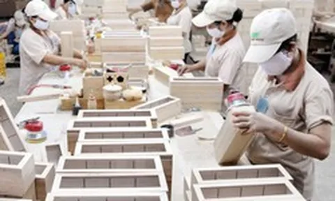 Doanh nghiệp nào hưởng lợi khi dòng vốn ngày càng chọn lọc?