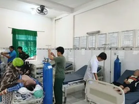 Ba người bị ong đốt khi đi tảo mộ, phải cấp cứu khẩn