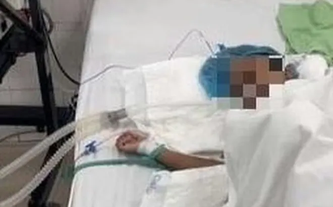 Đang nằm nền nhà, bé 7 tuổi hét lớn bố mẹ chạy vào thấy cảnh tượng "đáng sợ"